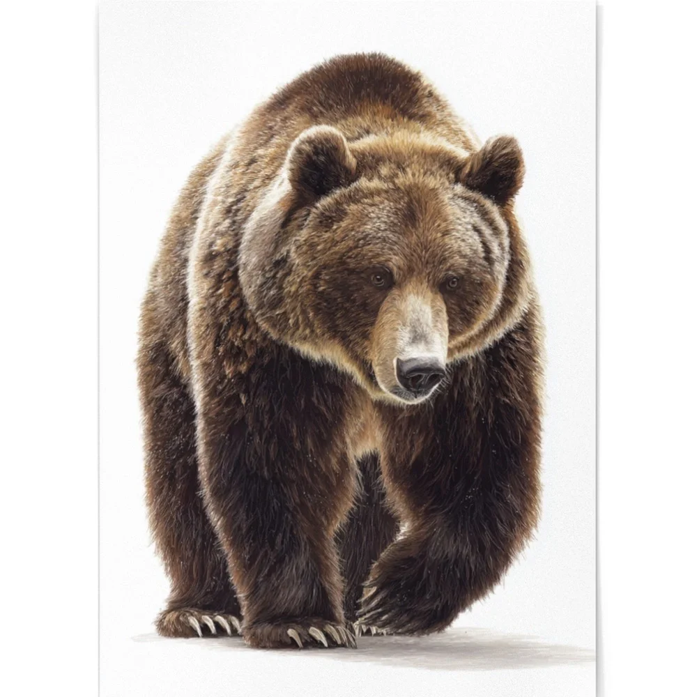 Watercolor Grizzly Bear Portrait Wall Art Print Poster - Unframed Artwork - Picture 2 of 5
